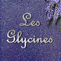 Lettres pour nom de maison en French Script 170x64mm INOX 304 bross
