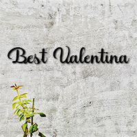 Lettres pour nom de maison en Best Valentina 120x60 mm Fer forg 6mm