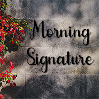 Nom de maison en fer forg  lettres Morning Signature 120x60 mm Fer forg 6mm