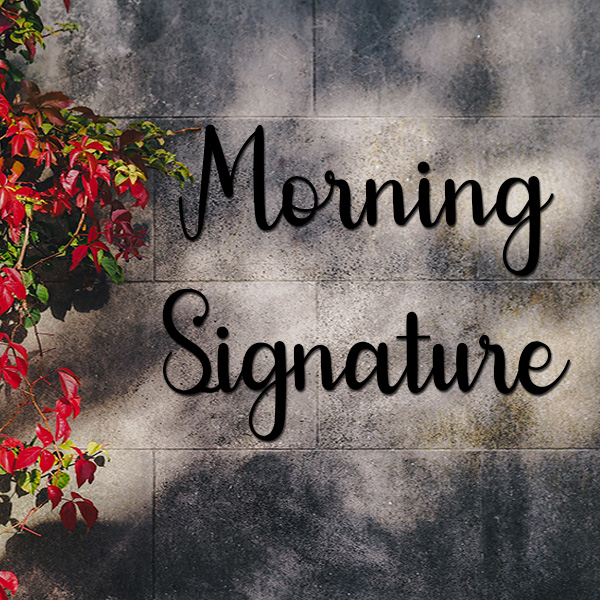 Nom de maison en fer forg  lettres Morning Signature 150x75 mm