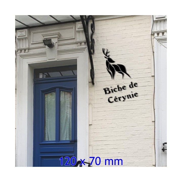 Lettres en Argos pour votre nom de maison en fer forgé avec des lettres hauteur 120 x 70 mm 6 mm d'épaisseur