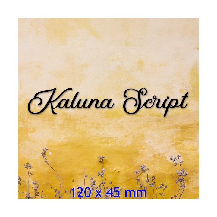 Lettres pour nom de maison en fer forgé en caractères Kaluna Script 120 x 45 mm 6 mm d'épaisseur