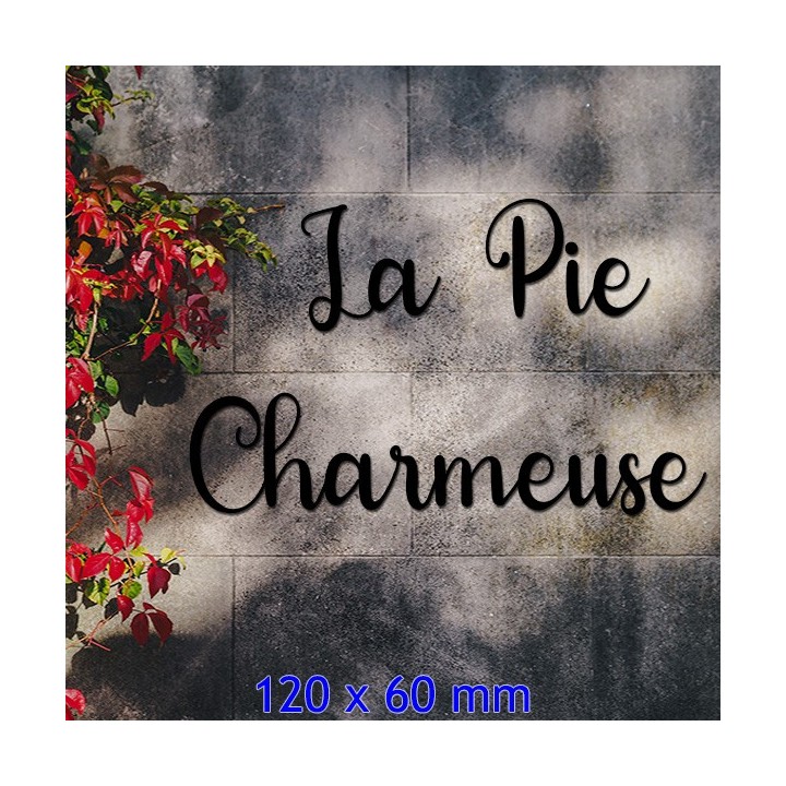 Lettres pour nom de maison en fer forgé en caractères Silk Letters en 120 x 60 mm 6 mm d'épaisseur