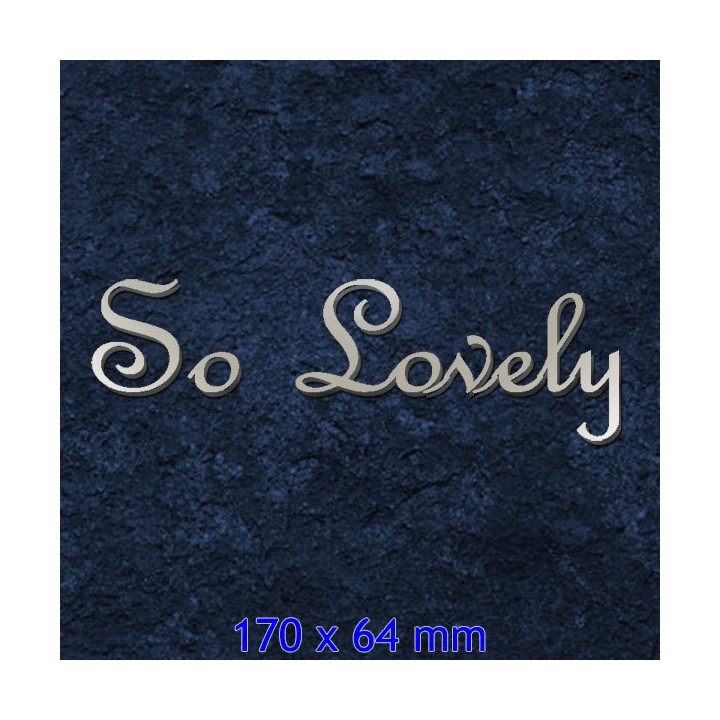 Nom de maison en acier inox en caractères French Script 170 x 64 mm, 2 mm d'épaisseur